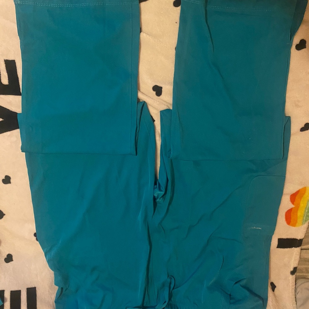 Healing Hands Women's Teal Pants